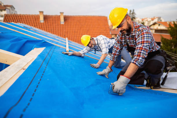 Sealant for Roof in Auburn, KS