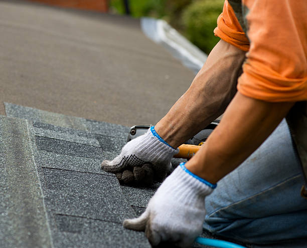 Best Local Roofing Companies  in Auburn, KS