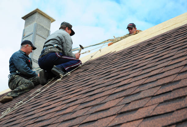 Best Flat Roof Repair Services  in Auburn, KS